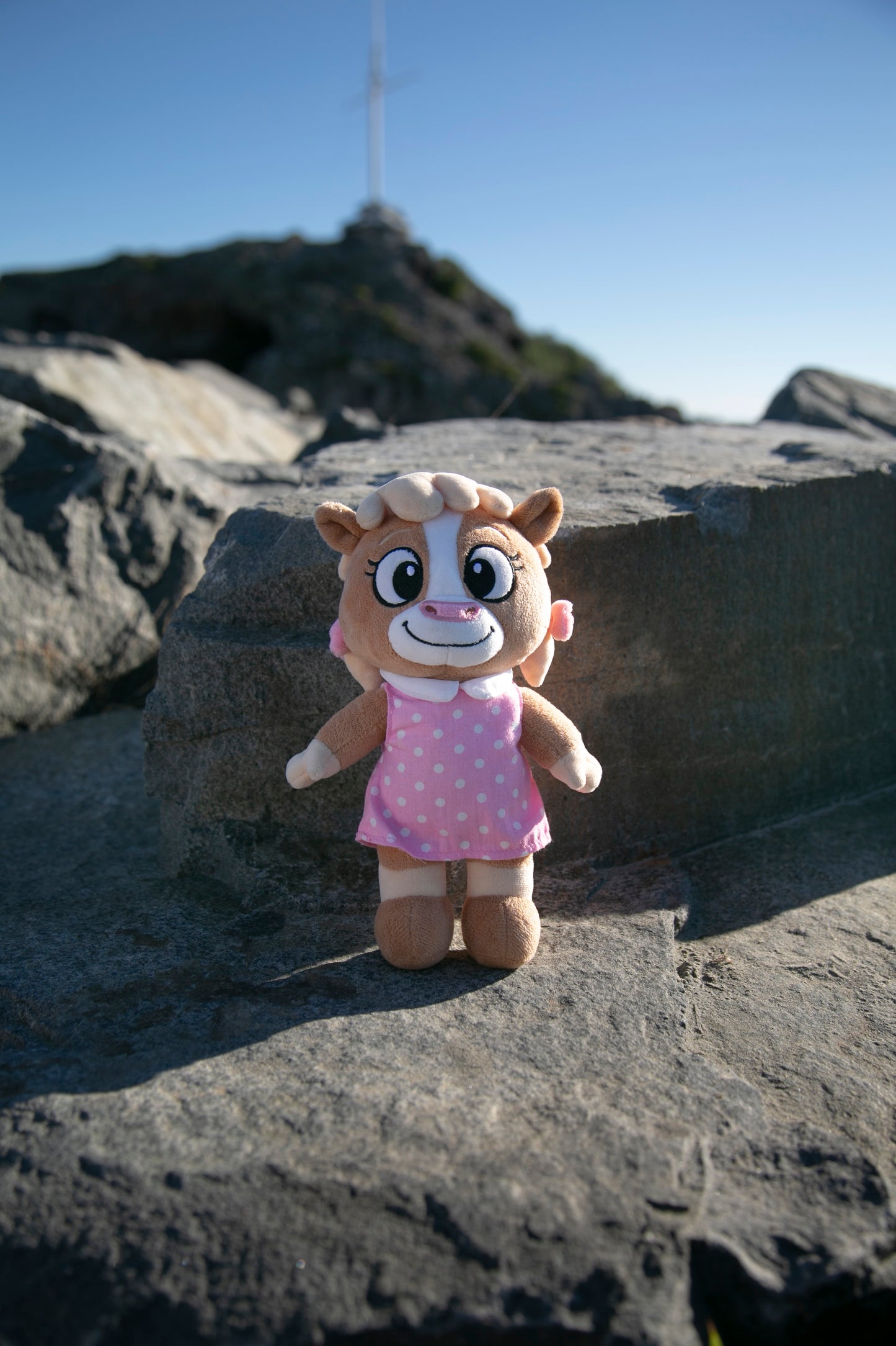 Daisy Plush Toy — Daisy & Gus