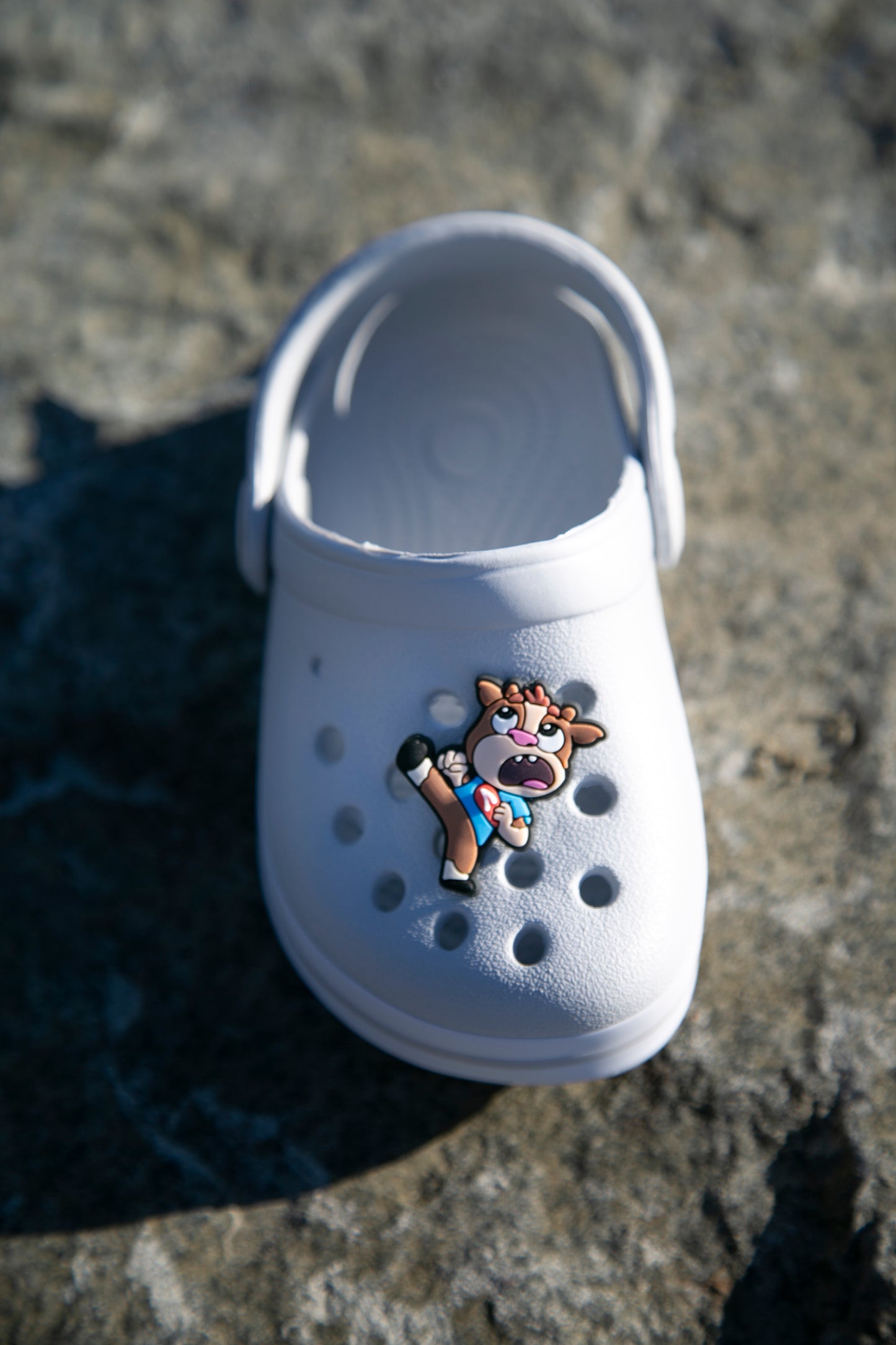 Gus Shoe Charm — Daisy & Gus