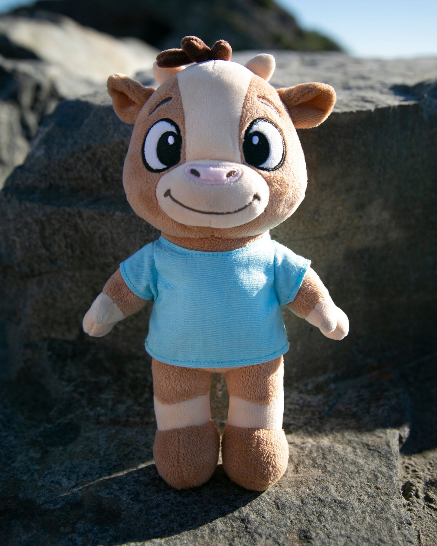 Gus Plush Toy — Daisy & Gus